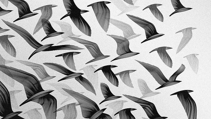 flock of black bird painting, birds, monochrome, digital art, HD wallpaper