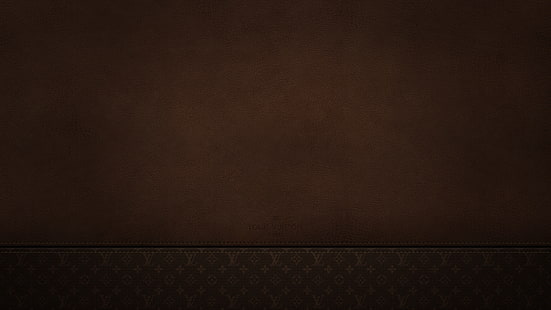 Background of a Leather Texture with the Brand Louis Vuitton