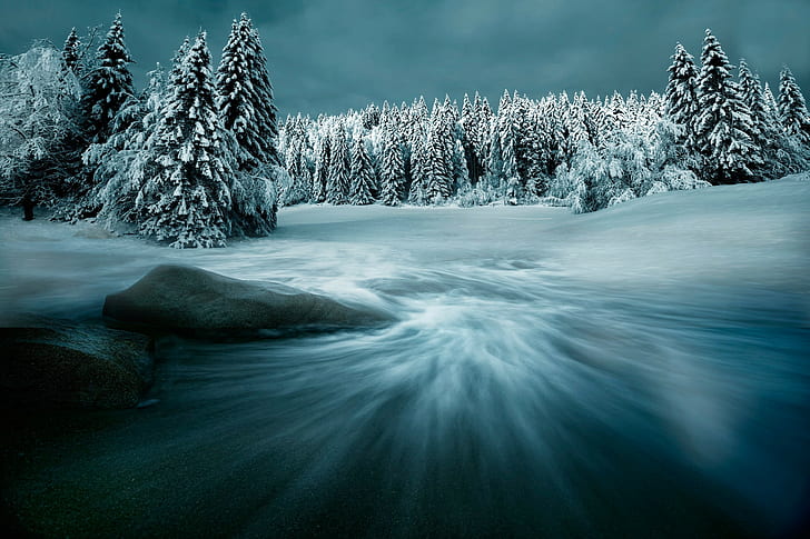 winter, snow, seasons, landscape, trees, HD wallpaper