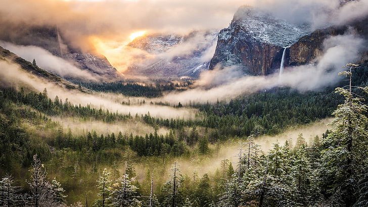 green forest, mountains, nature, mist, Yosemite National Park
