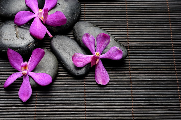 purple petaled flowers, stones, black, Spa, bamboo, zen, frangipani