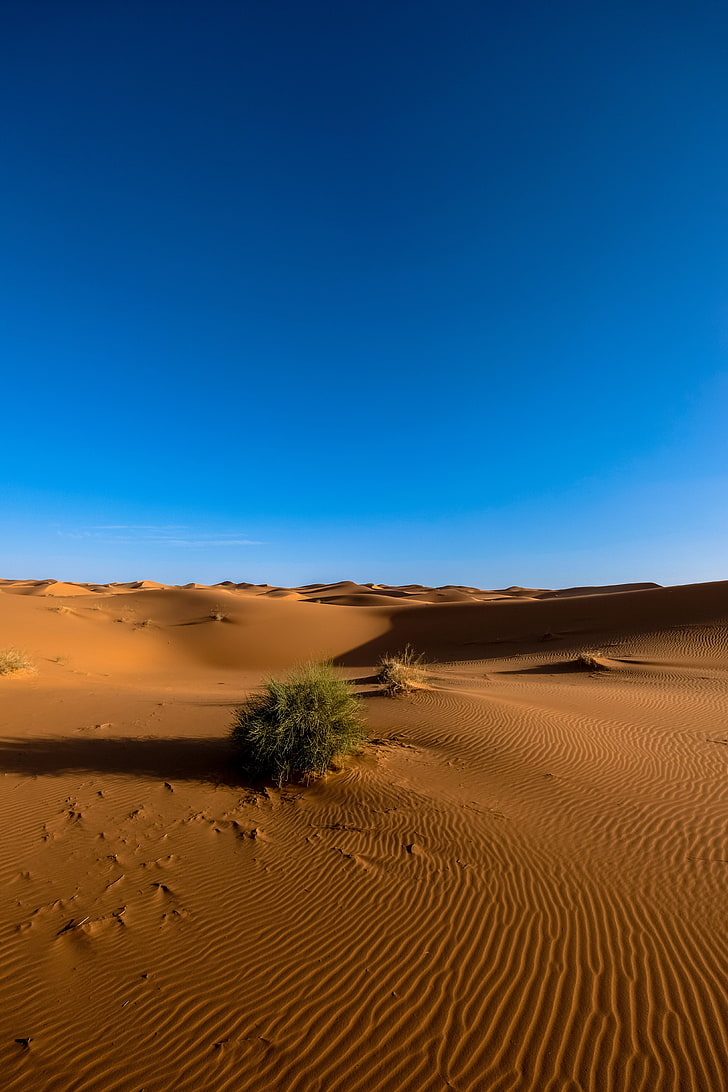 sand dunes, sahara, desert, sky, nature, dry, sahara Desert, africa, HD wallpaper