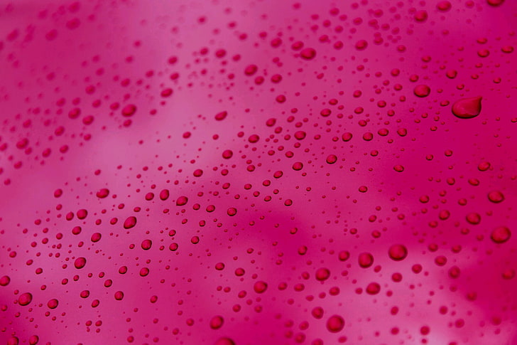 water drops, pink color, backgrounds, no people, close-up, full frame, HD wallpaper