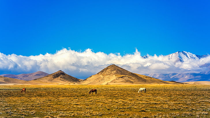 China Northern Tibet Pastures Field Hills Snow Blue Blue Sky Clouds Ultra Hd Wallpaper For Desktop Laptop Tablet And Mobile Phones 3840×2160, HD wallpaper