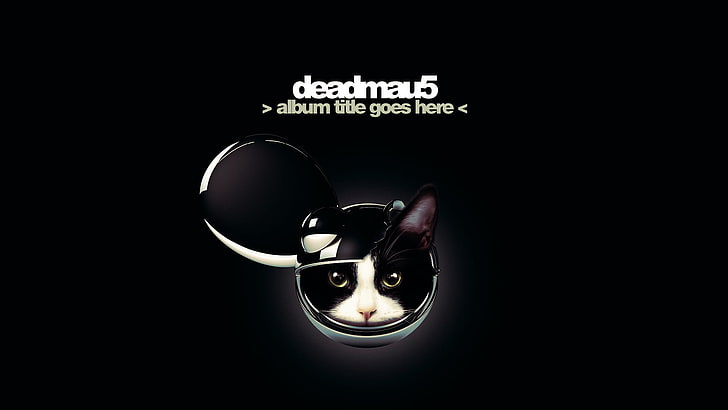 Hd Wallpaper Deadmau5 Logo Minimalism Music Cat Black Electro House Dead Mouse Wallpaper Flare