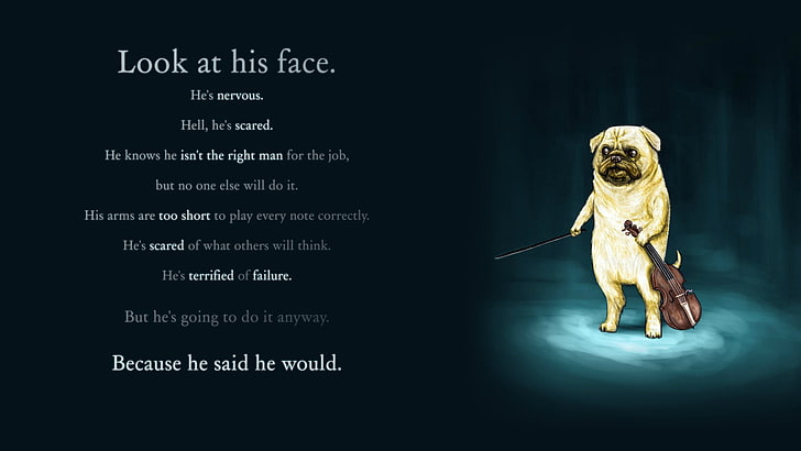 look at his face. text, motivational, Adventure Time, pug, people, HD wallpaper