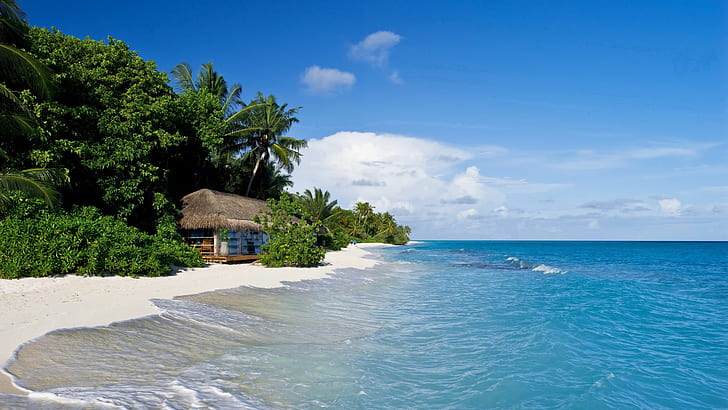 Kuramathi, Maldives, tropical, ocean, beach, Kuramathi, Maldives, tropical, ocean, beach, beautiful scenery, beautiful scenery, seashore with ocean