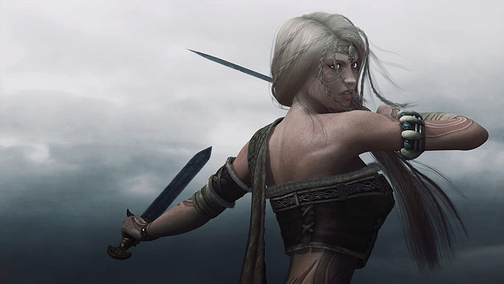 female character with swords digital wallpaper, fantasy art, one person