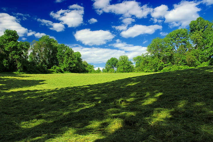 green grass landscape photography, Texter, Mountain, Nature Preserve, HD wallpaper