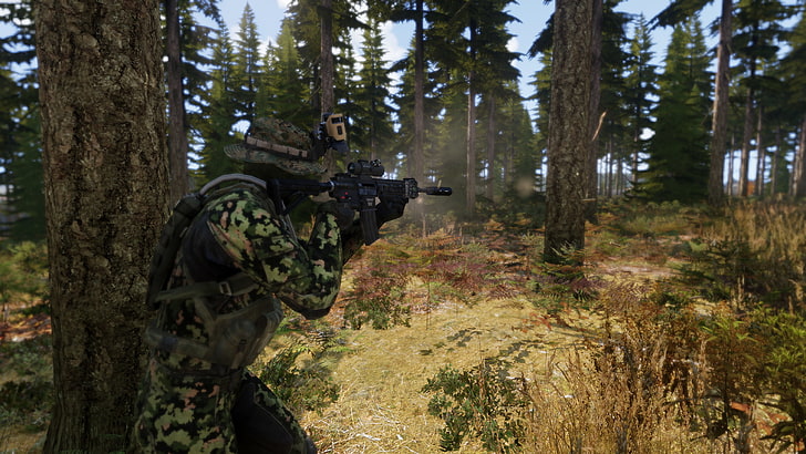 Arma 3, chernarus, video games, tree, plant, forest, land, weapon