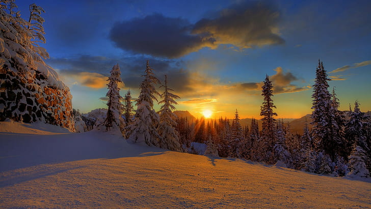 trees, winter, snow, sunlight, clouds, evening, polar night, HD wallpaper