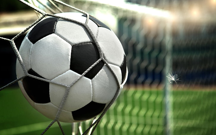 whit eand black soccer ball, feather, football, goal, net, sport
