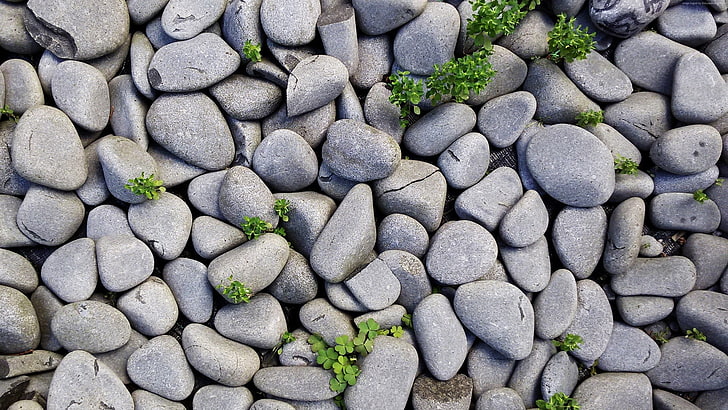 pebbles lot, stones, nature, closeup, solid, stone - object, full frame, HD wallpaper