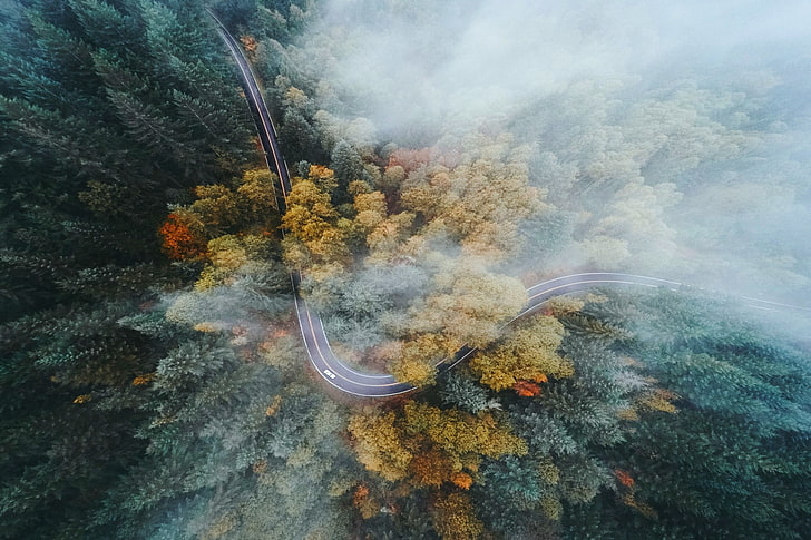 aerial photography of road surrounded by trees wallpaper, landscape