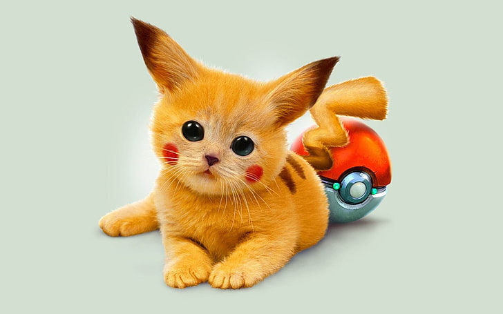 art kitty pokemon red eyed pikachu-High Quality HD.., Pikachu cat illustration