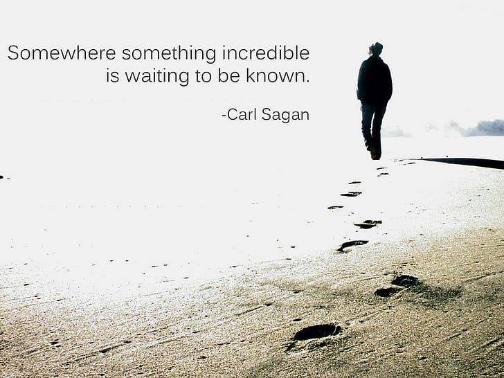 carl Sagan Quotes, life Quotes, words, HD wallpaper