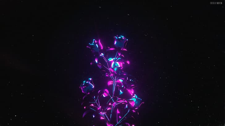 3D Abstract, roses, purple flower, Cinema 4D, dark, HD wallpaper