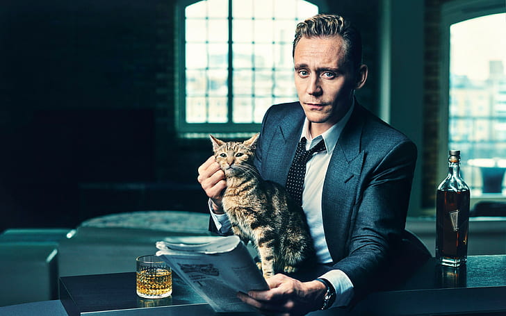 tom hiddleston, actor backgrounds, cat, whiskey, Background Ultra HD 4K, HD wallpaper