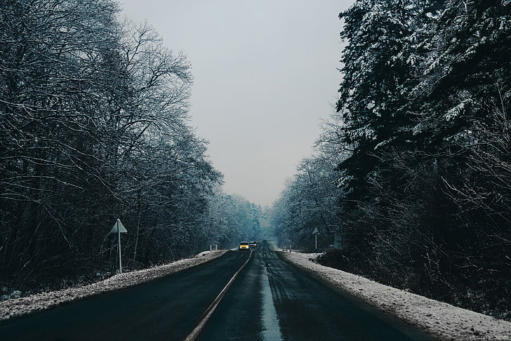 concrete road, nature, winter, trees, snow, landscape, the way forward, HD wallpaper