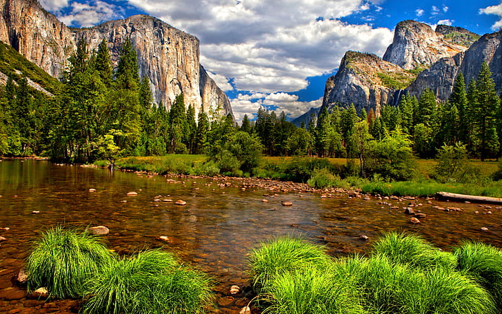 Merced river El Capitan is a vertical rock formation in Yosemite National Park-USA Yosemite Valley Summer Hd Wallpaper for Desktop 2560×1600