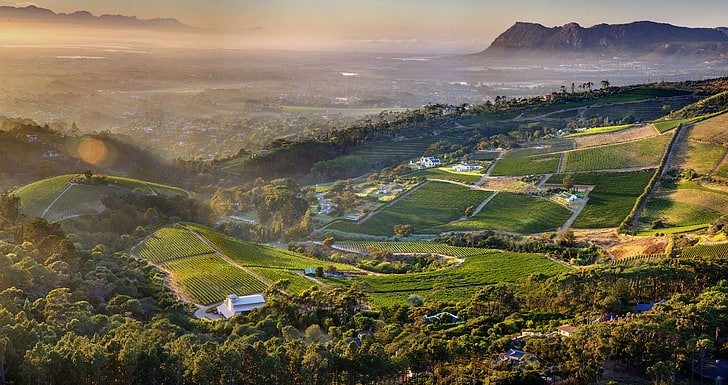 Cape Town, constantia, vineyard, mountains, aerial view, scenics - nature