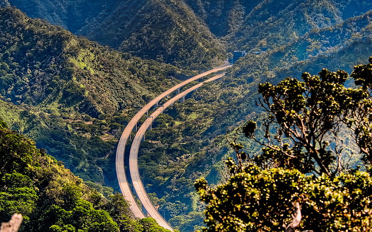 two roads between mountains and trees, landscape, nature, oahu, HD wallpaper