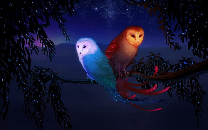 illustration of two owls, night, birds, branch, animal, nature