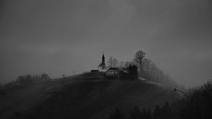 grayscale photo of house, nature, landscape, trees, forest, hills