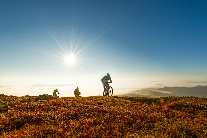 three people riding bike on grass field, trysil, trysil, sommer