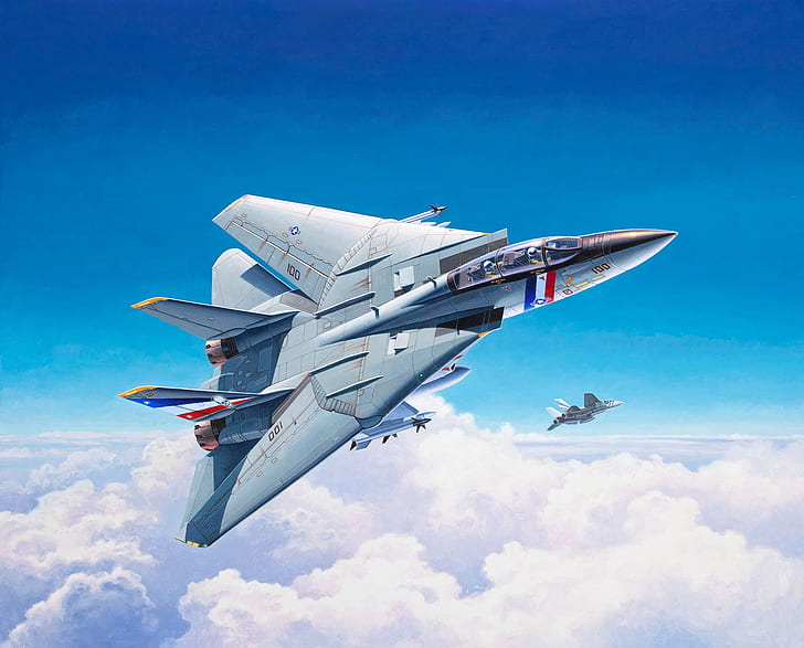 Fighter, F-14, Grumman F-14, Grumman F-14 Tomcat, US NAVY, Fighter-interceptor, HD wallpaper