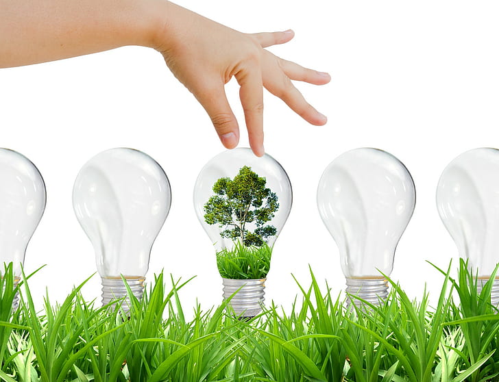light bulb, technology, grass,hands, design, trees