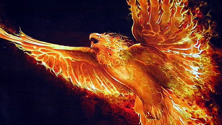 flame, mythology, wing, darkness, phoenix, fire, fantasy art, HD wallpaper