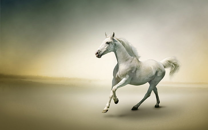 HD wallpaper: horse desktop nexus