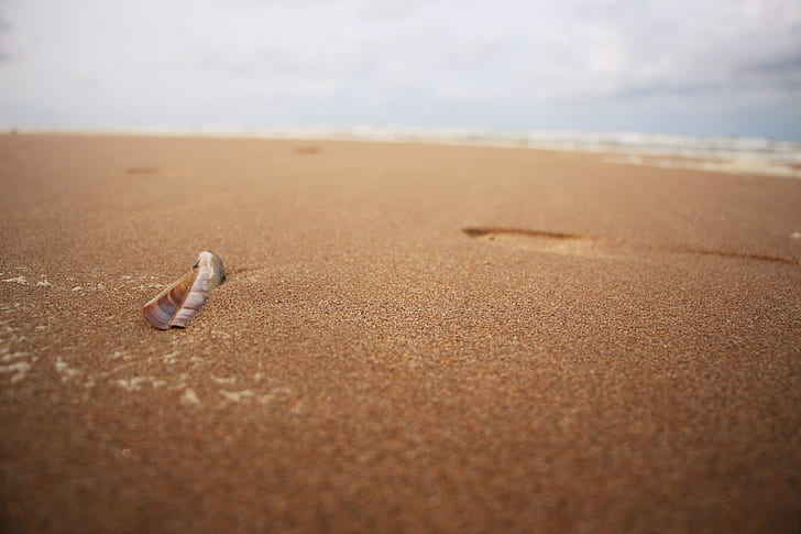 beach, Dutch, North Sea, sand, land, water, day, nature, selective focus, HD wallpaper