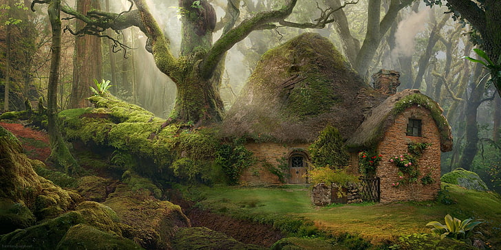Fantasy, Forest, Cottage, Green, House, Tree, plant, architecture