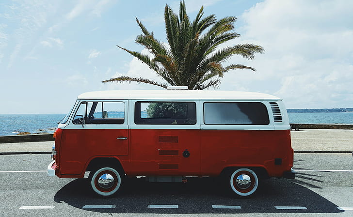 vw bus, red, France, beach, Concarneau, white, palm trees
