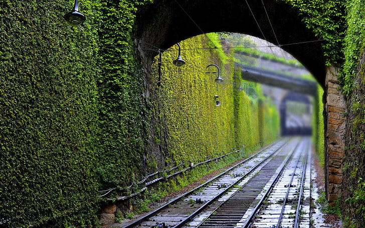 photography, railway, tunnel, green, plants, lamp, depth of field