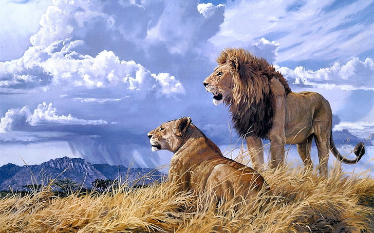 lion and lioness, animals, artwork, nature, big cats, clouds, HD wallpaper