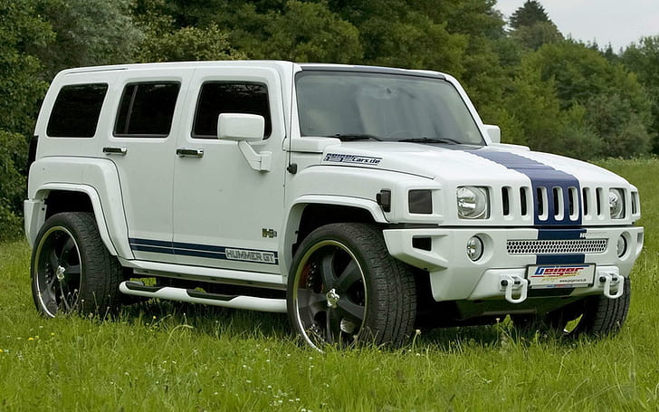Hummer H3, picture, 2012, truck, cars