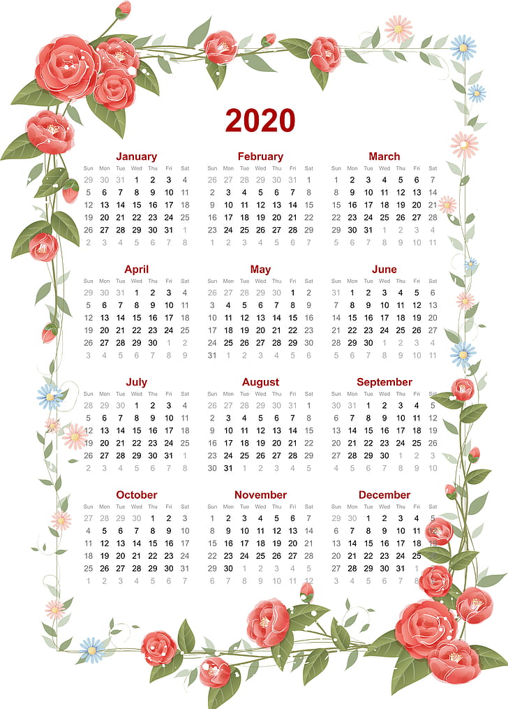 calendar, 2020 (Year), white background, frame, portrait display