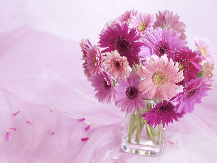 Gerbera Daisy Arrangement HD, flowers, HD wallpaper