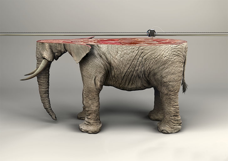 artwork, animals, digital art, elephant, 3d object, 3d printer, HD wallpaper