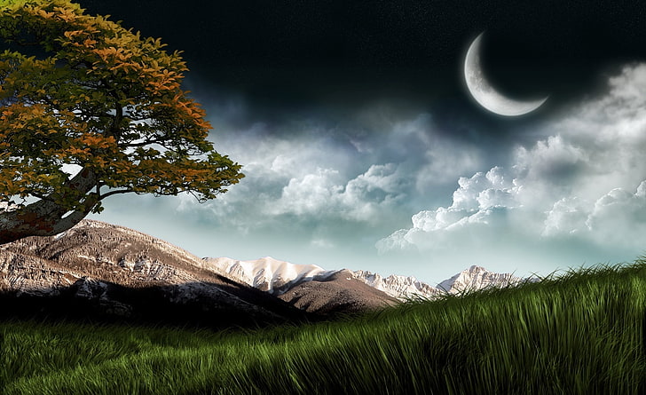 Dreams Of A Fantasy World, crescent moon above grass painting
