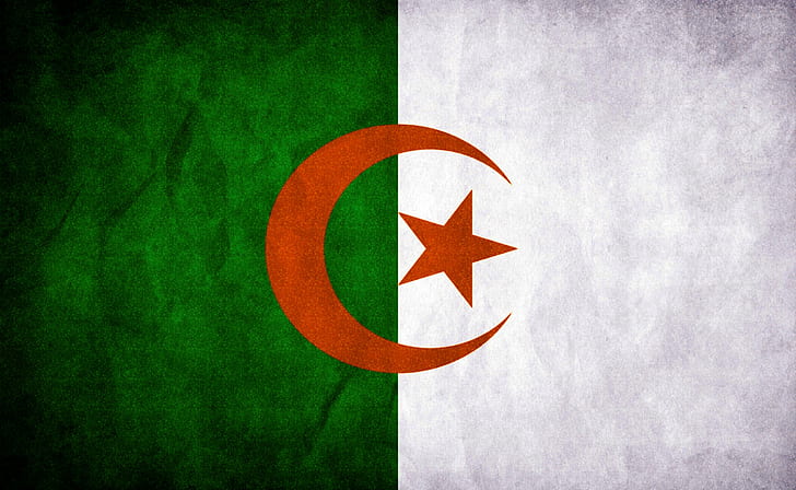 Algeria Flag, Artistic, Grunge, dz, algerie