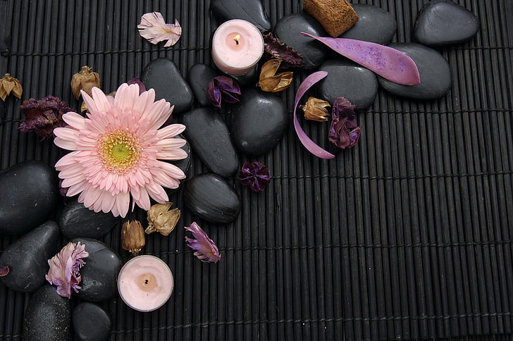 pink Gerbera daisy and black pebbles, flower, petals, Spa, Spa stones, HD wallpaper