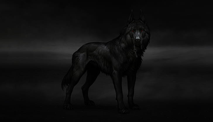 Fantasy Animals, Wolf, HD wallpaper
