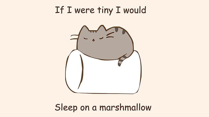 HD wallpaper: gray cat cartoon, humor, marshmallows, quote, pusheen,  artwork | Wallpaper Flare