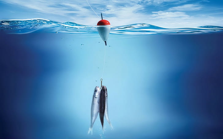 fishing rod, water, sea, underwater, HD wallpaper