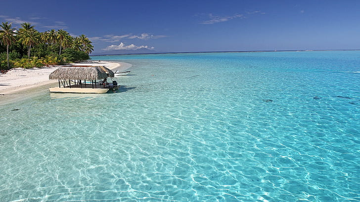Perfect Aqua Blue Sea Off Bora Bora Tropical Paradise Isl Tahiti Desktop Background 492106, HD wallpaper
