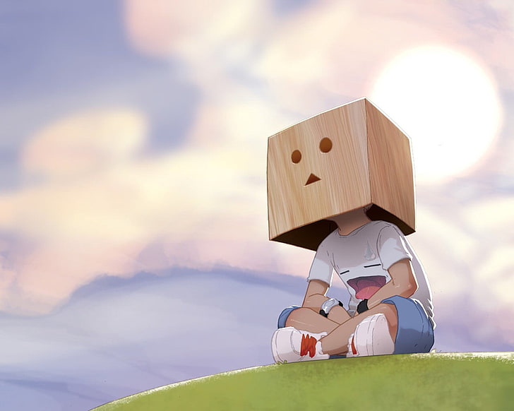 person sitting on field wearing cardboard mask illustration, box, HD wallpaper